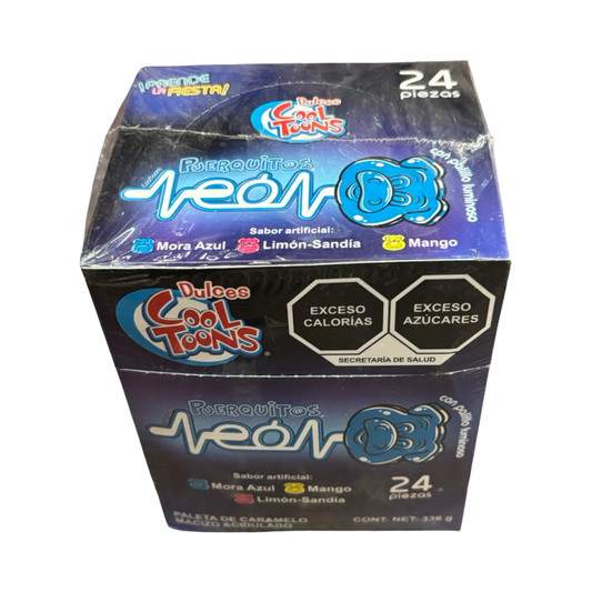 Neon 24pc