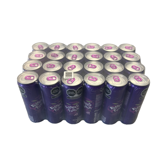 Delaware Punch (355ml) 24pc